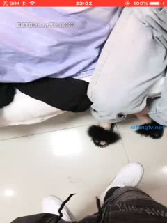 午夜激情视频免费在线观看